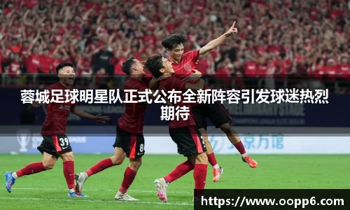 蓉城足球明星队正式公布全新阵容引发球迷热烈期待